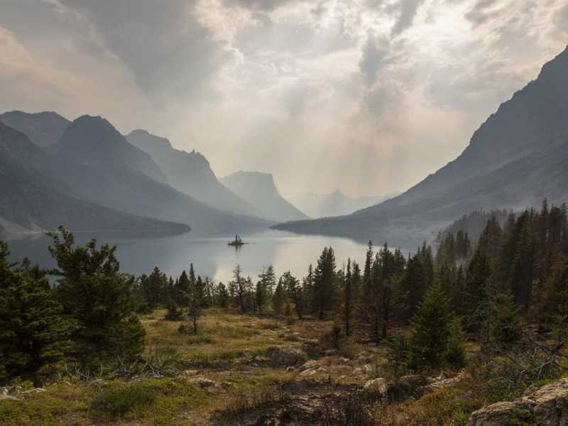 Why Vampires Never&nbsp;Die